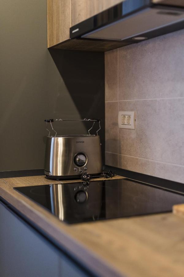 טימישוארה Apartment Near Iulius Mall With Balcony & Private Parking מראה חיצוני תמונה